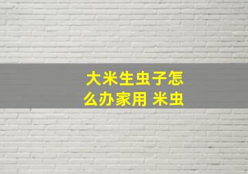 大米生虫子怎么办家用 米虫